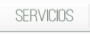 Servicios